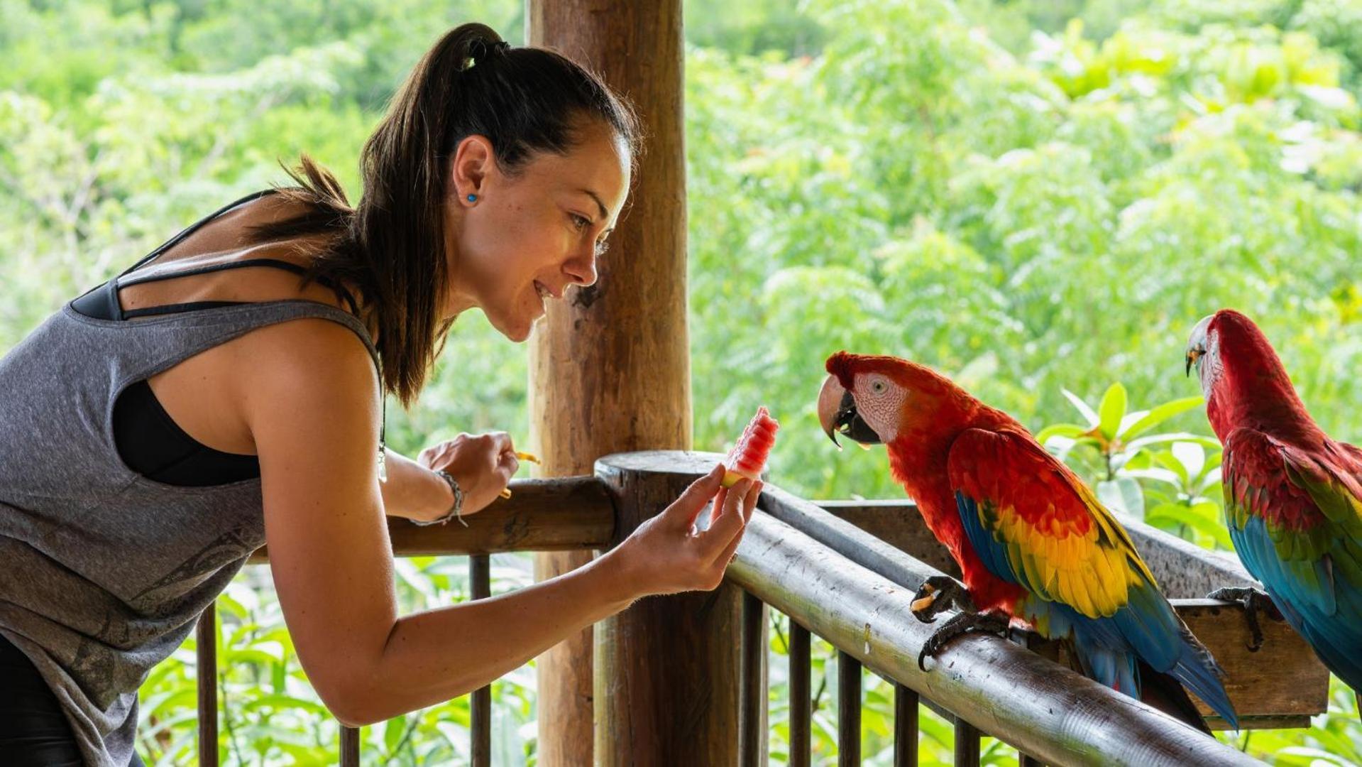 Aite Eco Resort Palomino Eksteriør bilde