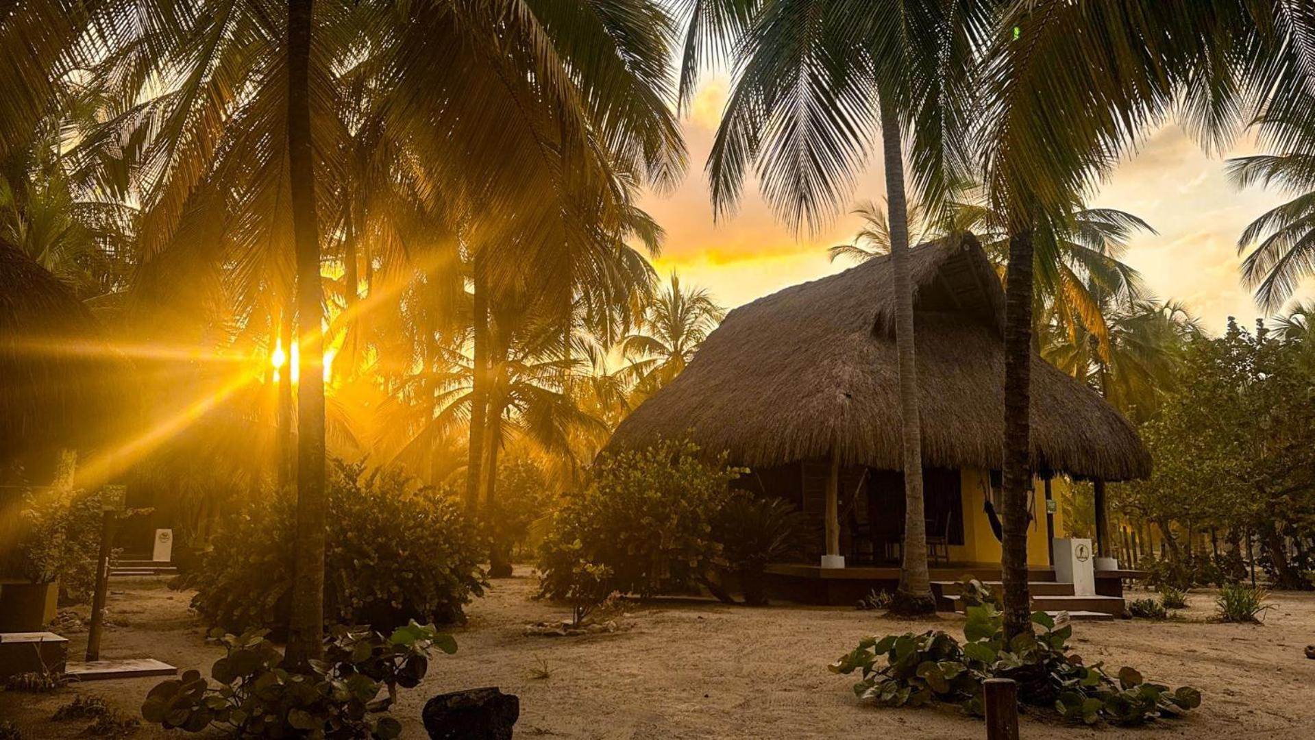 Aite Eco Resort Palomino Eksteriør bilde