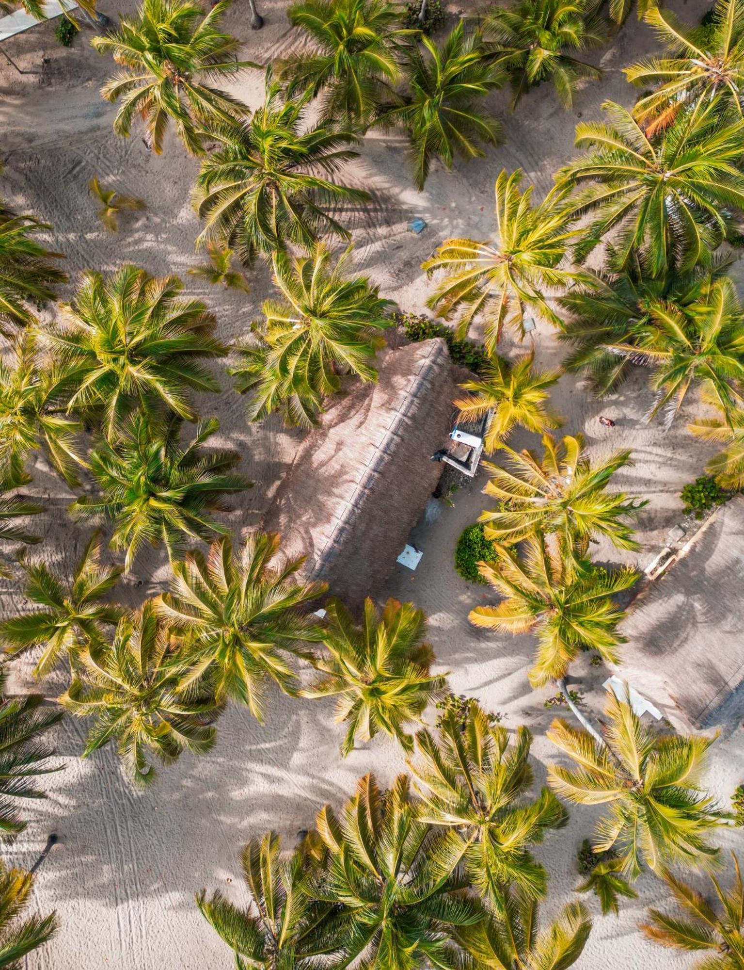 Aite Eco Resort Palomino Eksteriør bilde